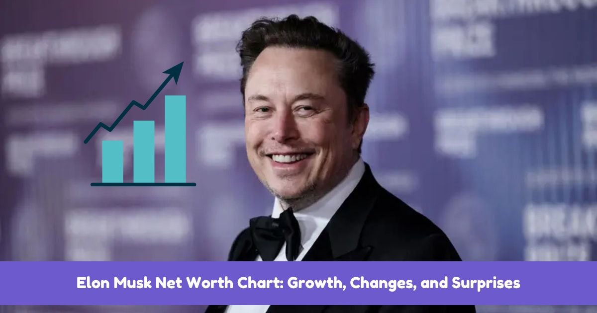 Elon Musk Net Worth Chart Growth, Changes, and Surprises